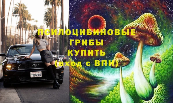 дурь Аркадак