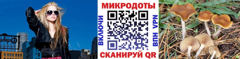 где можно купить наркотик  Кыштым  Галлюциногенные грибы мицелий 